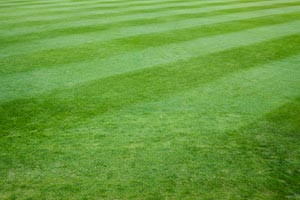 Take Your Lawn to a Different Level: DIY Baseball Field Stripes